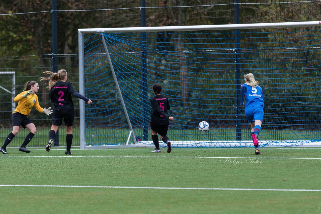 Bild 184 - B-Juniorinnen VfL Pinneberg - MSG Steinhorst Krummesse : Ergebnis: 5:5